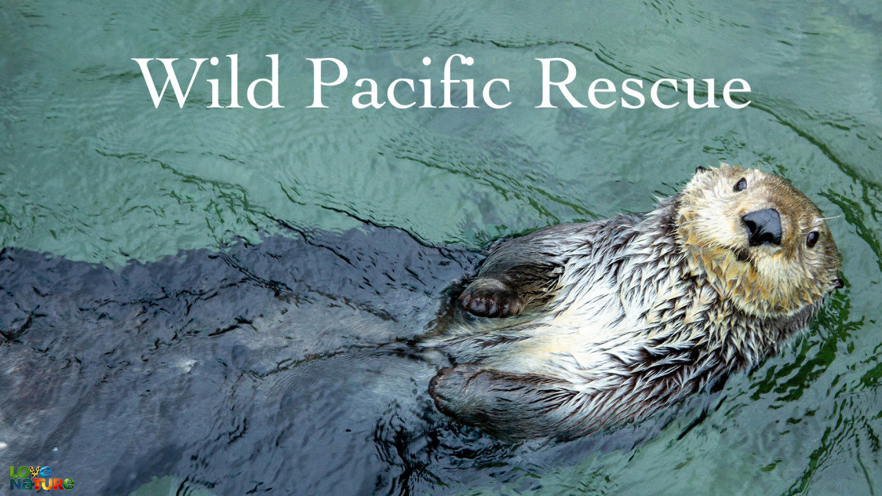 Salvarea faunei Pacificului
