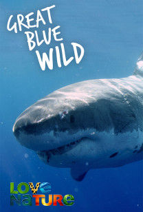 Grote Wilde Blauwe