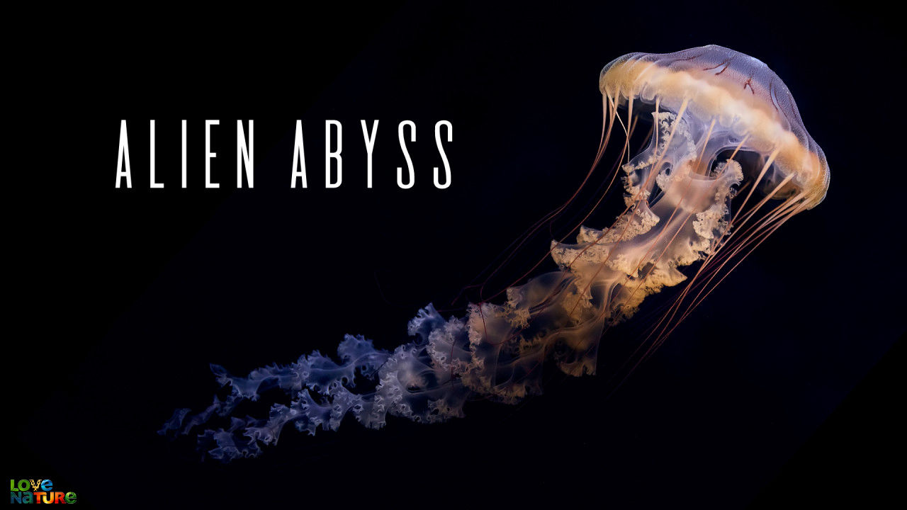 Alien Abyss