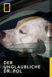 DER UNGLAUBLICHE DR. POL (Staffel 13) - Hundemagen an Hochzeitstagen