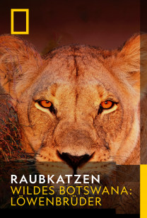 Raubkatzen - Wildes Botswana: Löwenbrüder