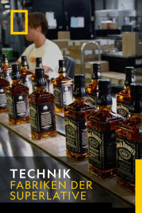 Technik - Whisky