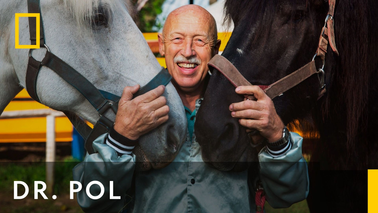 Dr. Pol