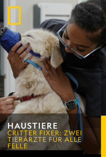 Haustiere - S1