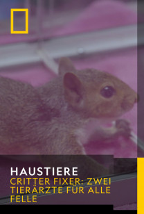 Haustiere - Rivalen der Scheune