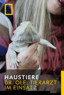 Haustiere - Mach' dem Drachen Beine!