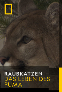 Raubkatzen - Das Leben des Puma