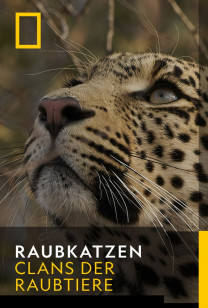 Raubkatzen - Die Leoparden-Sage
