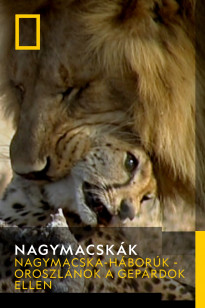 Big Cats - Nagymacska-háborúk - oroszlánok a gepárdok ellen