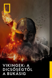 Vikings: The Rise And Fall