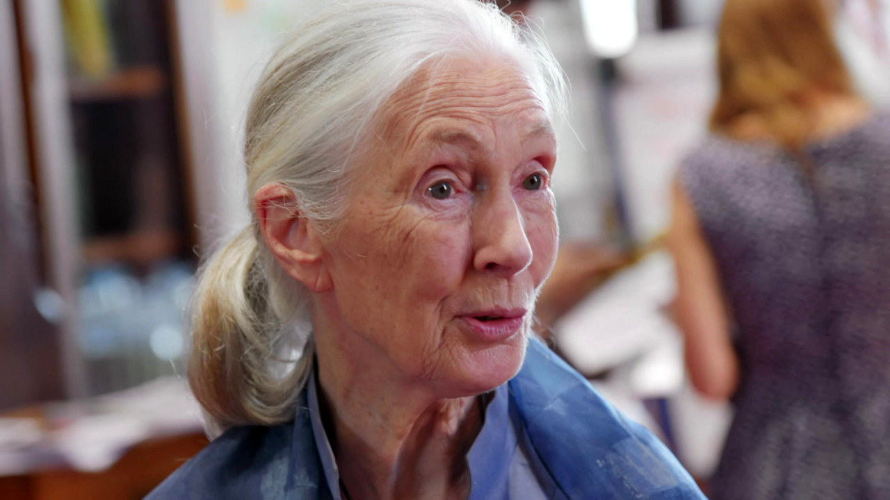 Jane Goodall: A remény