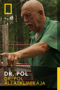 Dr. Pol - Törött mancs