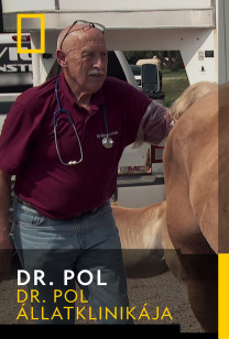 Dr. Pol - (S)érvek a gyógyulás mellett