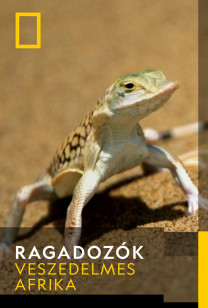 Ragadozók - Gyilkos sivatagok