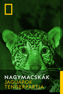 Nagymacskák - Jaguárok tengerpartja