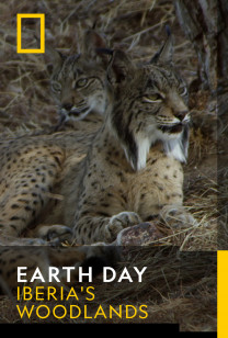 Earth Day - Breeding Season