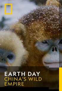 Earth Day - Golden Monkeys: Braving the Impossible