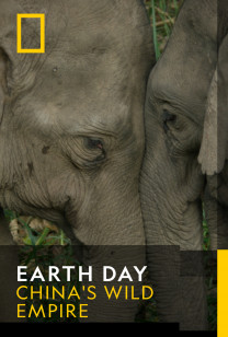 Earth Day - Yunnan's Intrepid Elephants