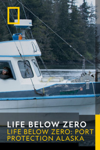 Life Below Zero - Rising from the Ashes