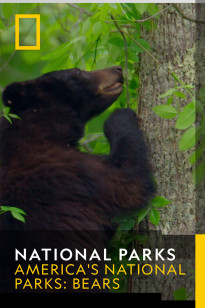 National Parks - America's National Parks: Bears