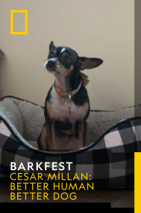 Barkfest - Frozen In Fear