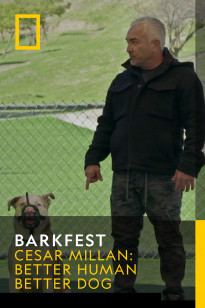 Barkfest - Guard Of The Yard