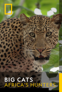 The Leopard Who Changed Her Spots