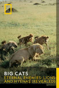 Big Cats - Eternal Enemies (Revealed)