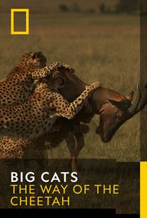 BIG CATS - The Way Of The Cheetah