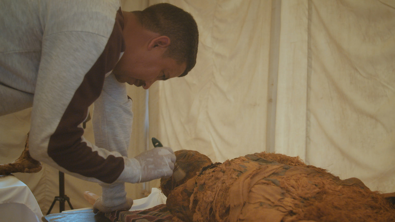 Rise of the Mummies