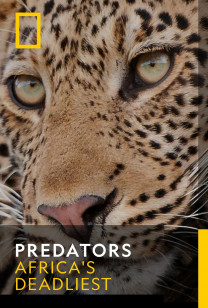 Predators - Ambush Hunters