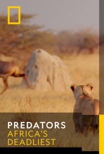 Predators - Moving Targets