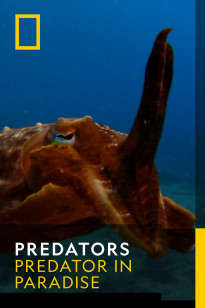 Predators - In The Shallows