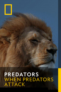 Predators - Killer Claws
