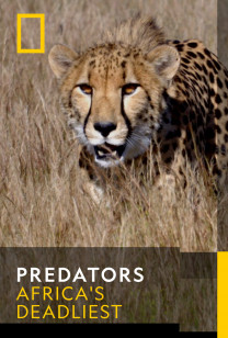 Predators - Savannah Survivors