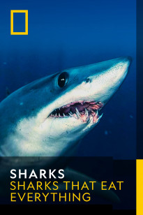 Sharks That Eat Everything