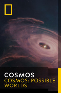 Cosmos - Lost City of Life
