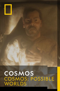 Cosmos - Vavilov