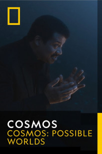Cosmos - The Cosmic Connectome