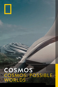 Cosmos - Seven Wonders of The New World