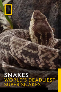 Snakes - World's Deadliest: Super Snakes