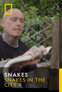 Snakes - New Blood