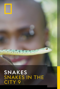 Snakes - Cobras to Crocs