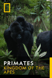 Primates - Brother Against Brother