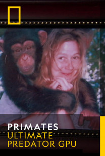 Primates - Chimp Attack