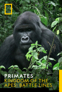 Primates - Kingdom of The Apes: Battle Lines
