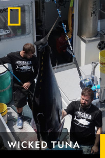 Wicked Tuna - Marciano on Deck