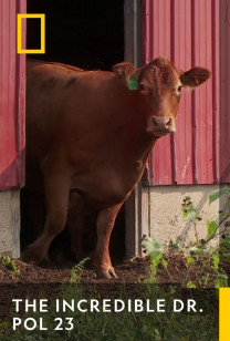 The Incredible Dr. Pol 23