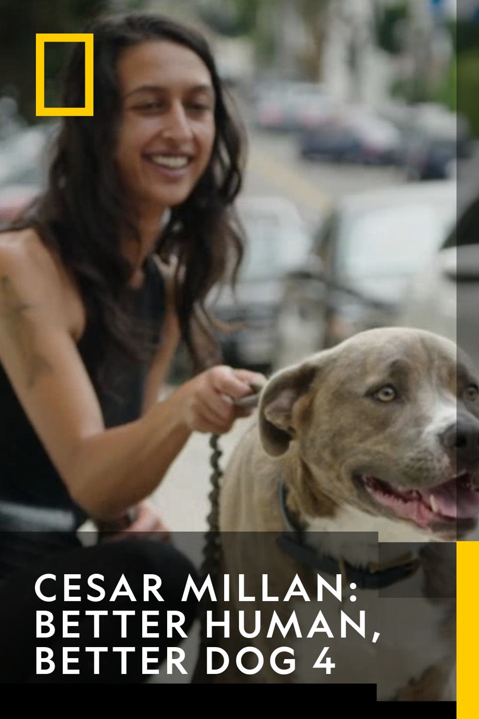 Cesar Millan: Better Human, Better Dog 4 - Completing the Pack