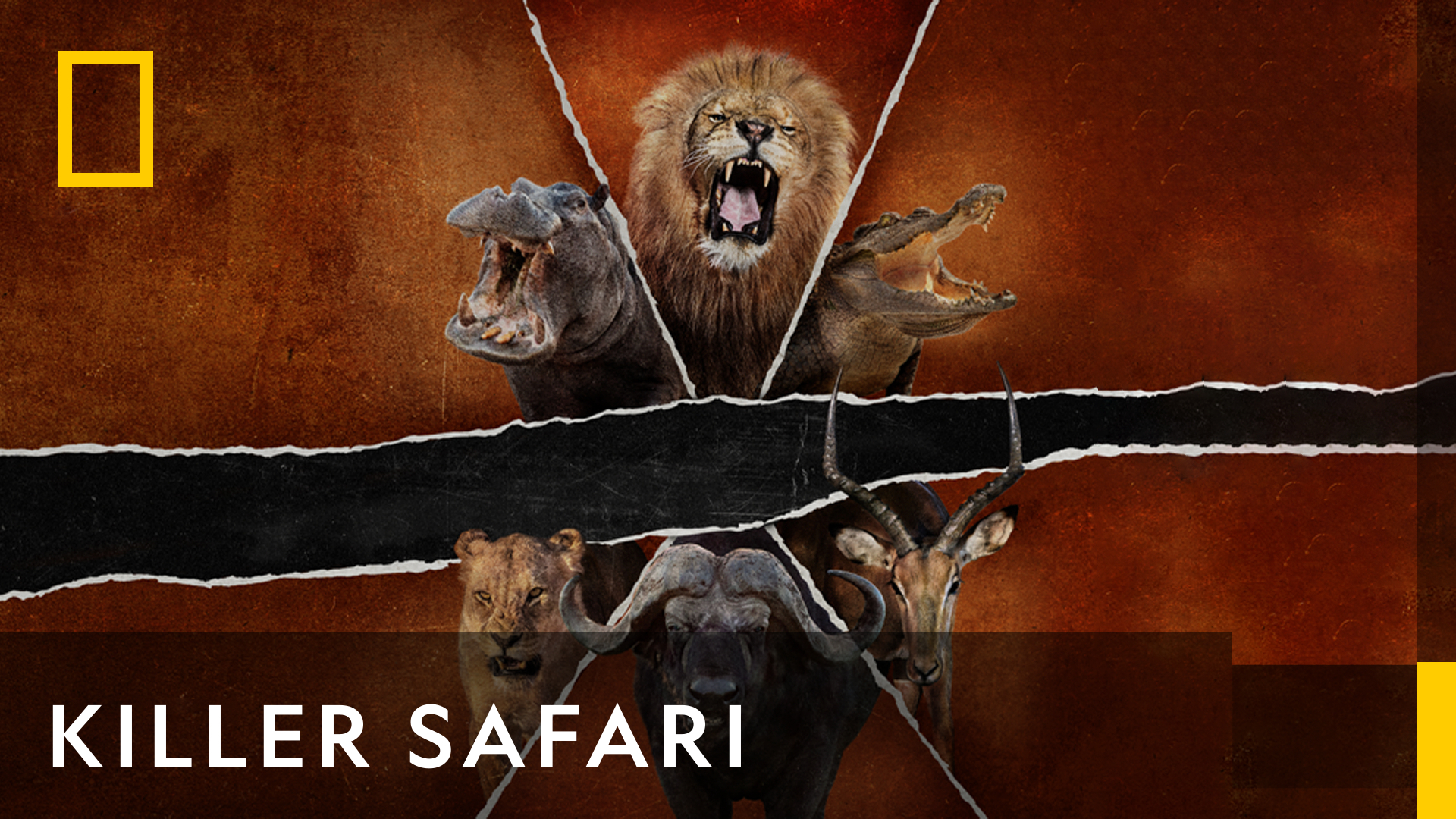 Killer Safari